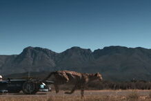 Chita, Fórmula E, Jean-Eric Vergne, África do Sul 