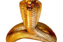  Para os homens, o anel peniano King J Cobra, da Velv-or custa cerca de 105 mil euros. Consiste numa cobra feita de ouro cuja cabeça pode servir para estimular o clitóris da parceira.