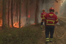 “Estiveram em agonia”, garante responsável pelo relatório de Pedrógão