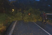 Jovem atingida por árvore é a primeira vítima mortal do mau tempo