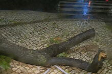 2017-12-11_02_13.39 01295F26.jpg