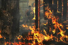 Fogos na Califórnia 