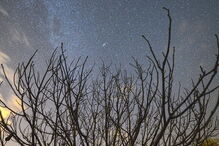 chuva estrelas, meteoros, céu 