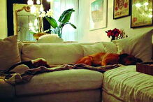 príncipe Harry, Canadá, Toronto, residência, Meghan