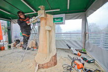 Nelson Ramos está a esculpir figuras em tamanho real com troncos de uma árvore abatida por motivos de segurança 