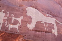 Cães já eram 'o melhor amigo do homem' há oito mil anos