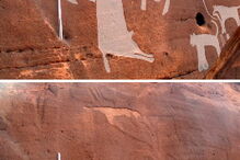 Cães já eram 'o melhor amigo do homem' há oito mil anos