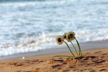 2017-12-15_22_47.42 M2-15163580.JPG