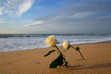 2017-12-15_22_47.43 M2-15163582.JPG