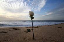 2017-12-15_22_47.46 M2-15163585.JPG