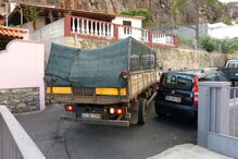 50 cães foram retirados de uma casa em Câmara de Lobos, na Madeira
