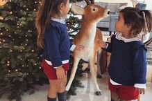 Carolina Patrocínio, Diana , Frederica, gonçalo uva