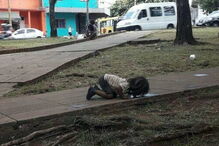 Menina bebe água de um charco na rua