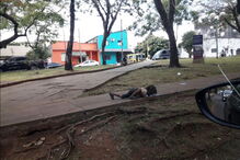 Menina bebe água de um charco na rua