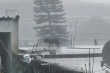 cão, preso, Brasil, maus tratos, chuva torrencial 