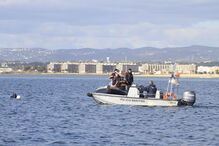 Buscas realizaram-se ao longo da tarde de ontem, sem sucesso, e hoje vão continuar mas apenas em terra 
