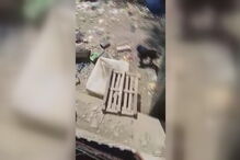 Foi aberta uma investigação às condições dos abrigos 