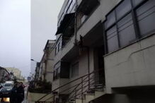 Cão morreu enforcado