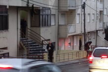 Cão morreu enforcado