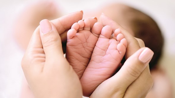 Um em cada mil bebés sofre de pé boto