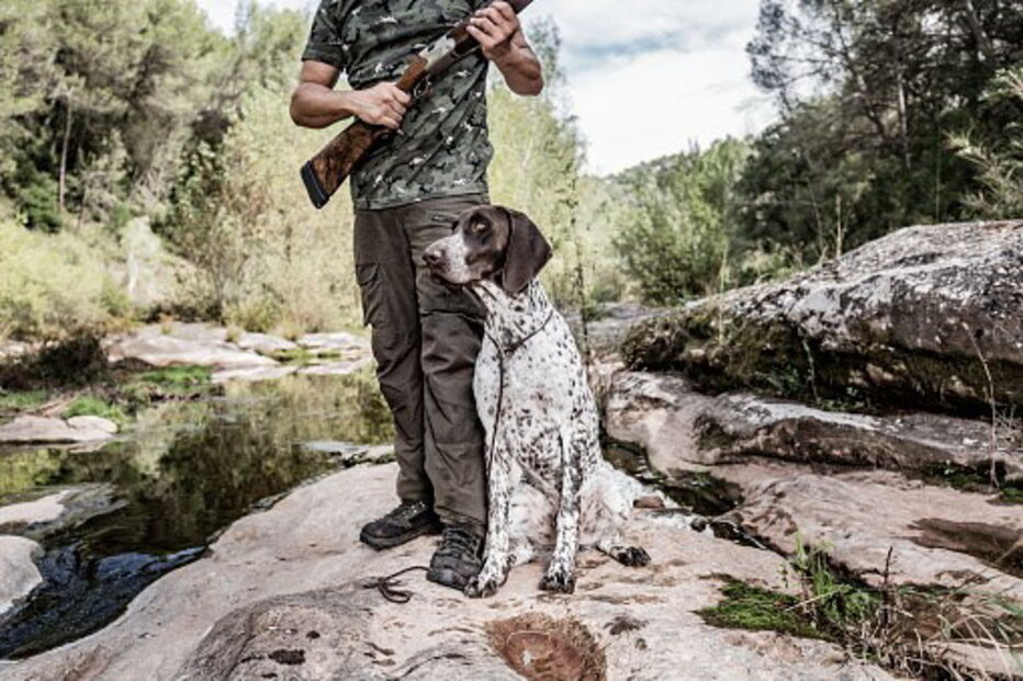 Cão disparou arma por acidente