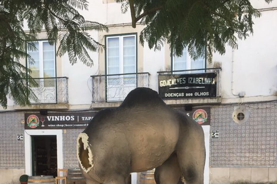 Imagens do presépio vandalizado em Santarém