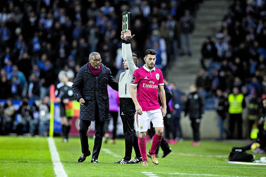 Pizzi, Vitória, Benfica, futebol, desporto