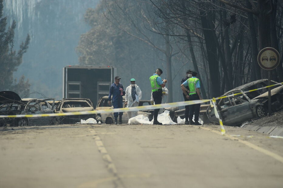 pedrógão grande, vítimas, mortos, famílias, fogo, incêndios