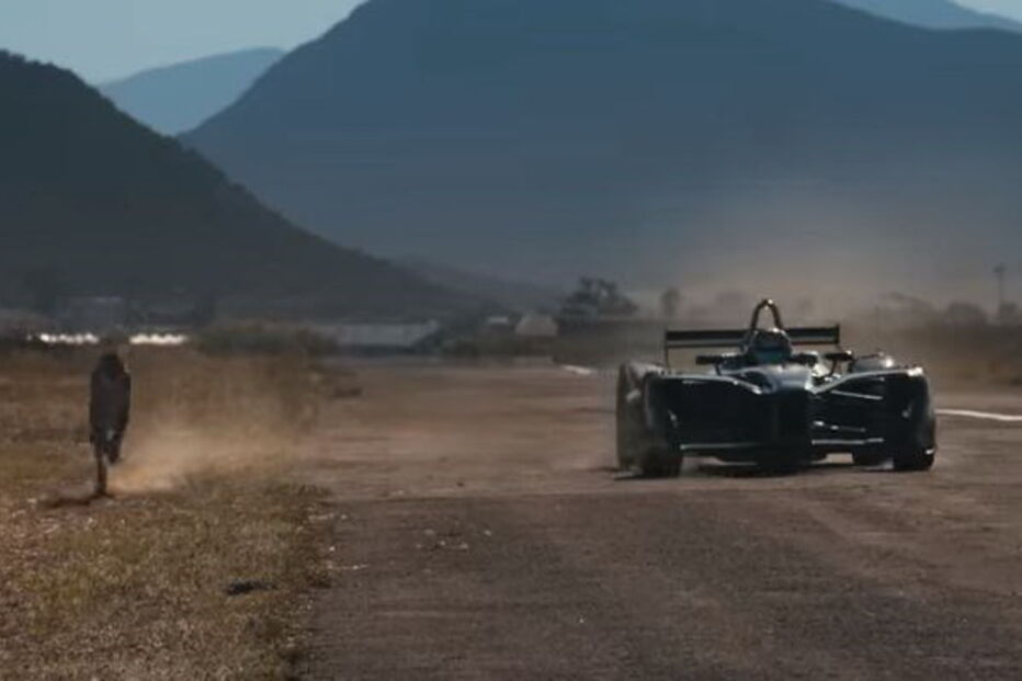 Chita, Fórmula E, Jean-Eric Vergne, África do Sul 