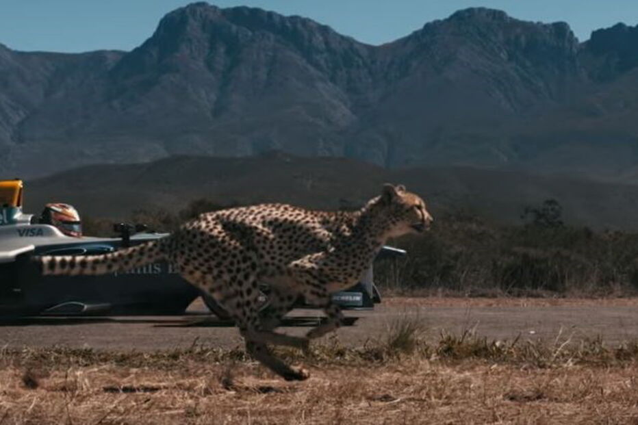 Chita, Fórmula E, Jean-Eric Vergne, África do Sul 