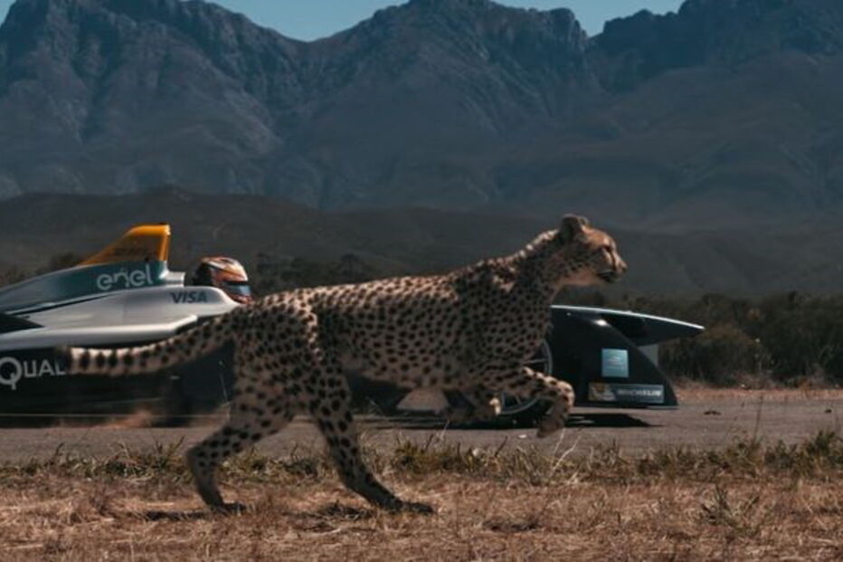 Chita, Fórmula E, Jean-Eric Vergne, África do Sul 