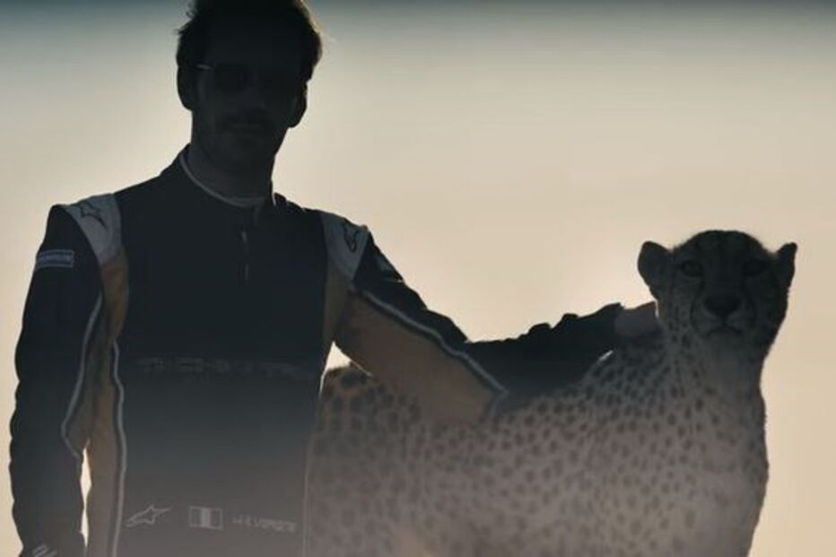 Chita, Fórmula E, Jean-Eric Vergne, África do Sul 