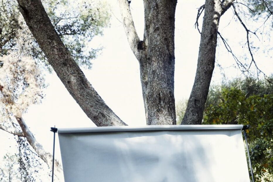 2017-12-05_20_42.20 aldina.JPG