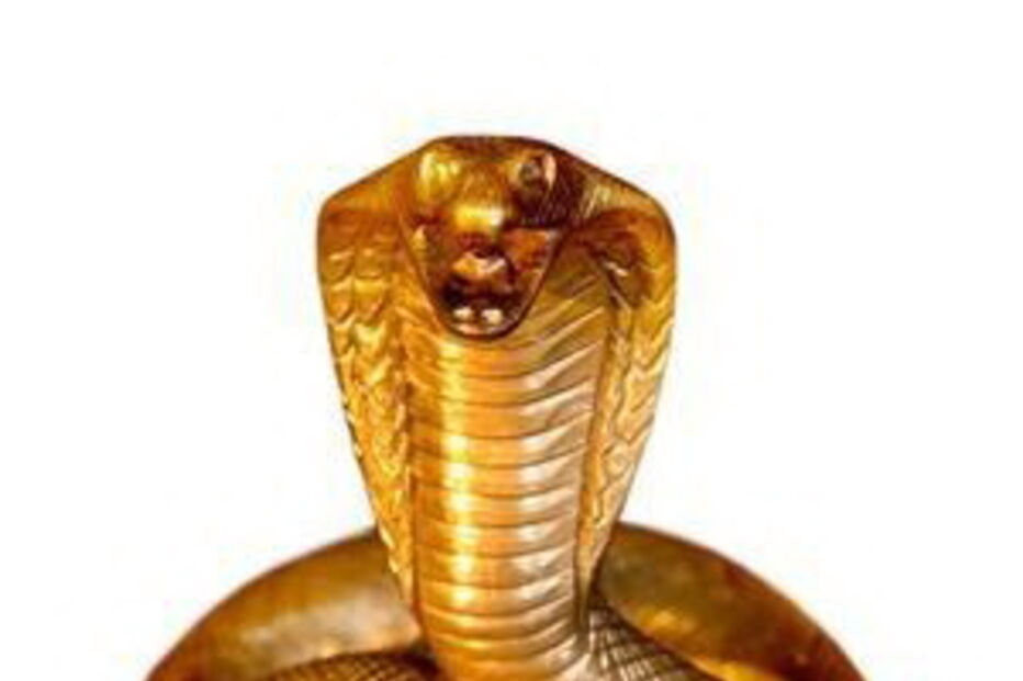  Para os homens, o anel peniano King J Cobra, da Velv-or custa cerca de 105 mil euros. Consiste numa cobra feita de ouro cuja cabeça pode servir para estimular o clitóris da parceira.