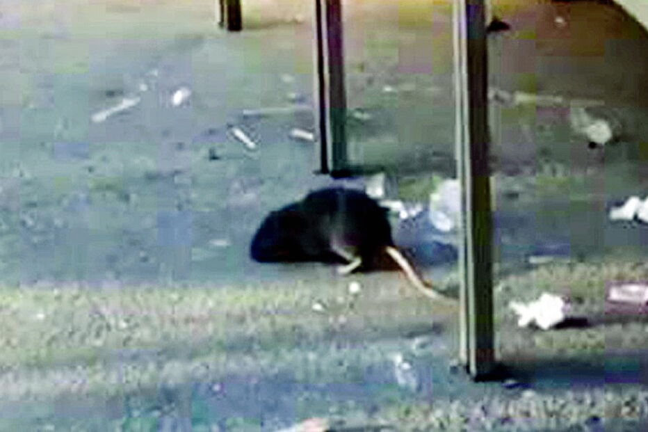 2017-12-07_22_01.26 Imagem 06 - img_818x455$2017_11_27_16_15_20_688337.jpg