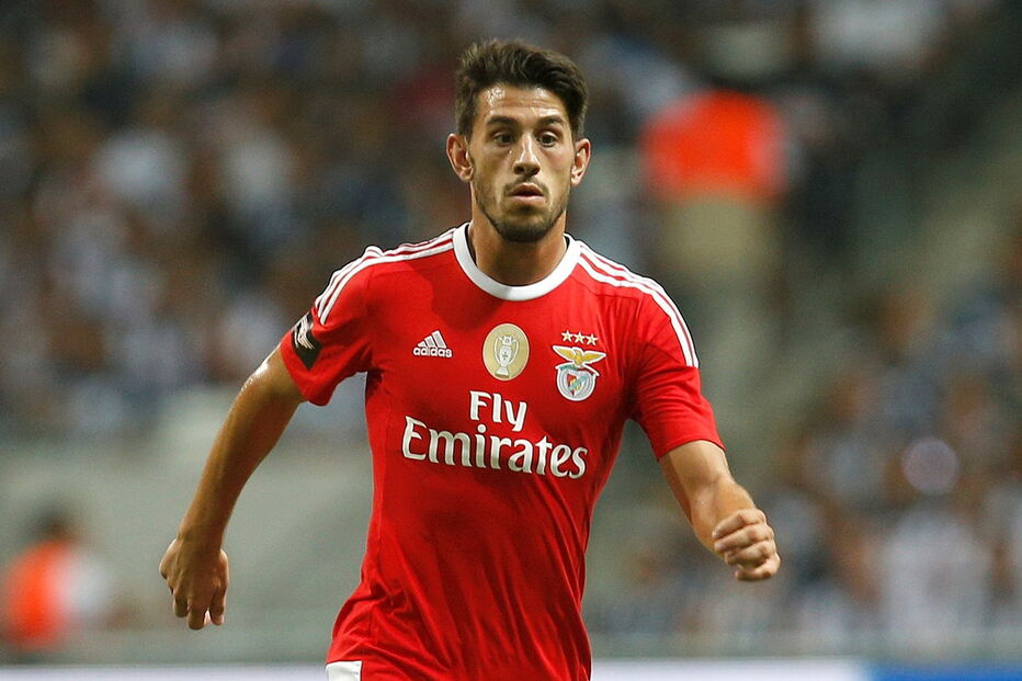Pizzi 