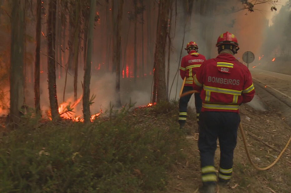“Estiveram em agonia”, garante responsável pelo relatório de Pedrógão