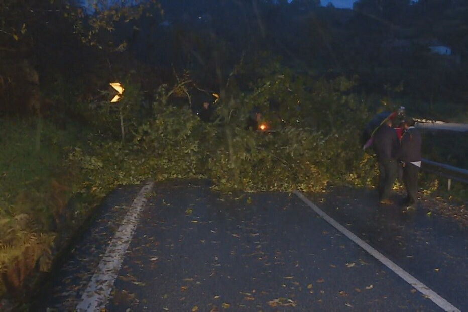 Jovem atingida por árvore é a primeira vítima mortal do mau tempo