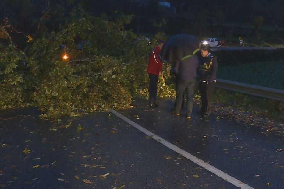 Jovem atingida por árvore é a primeira vítima mortal do mau tempo