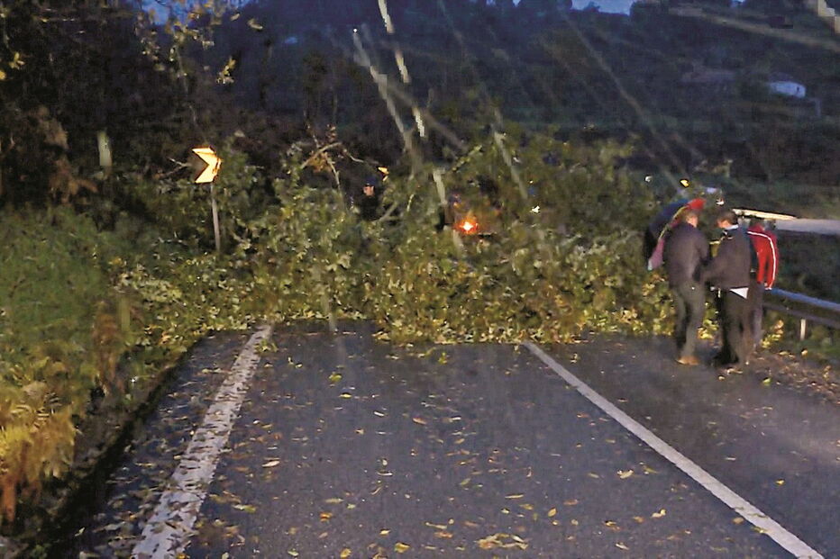 2017-12-11_00_38.44 Imagem 15135096.jpg