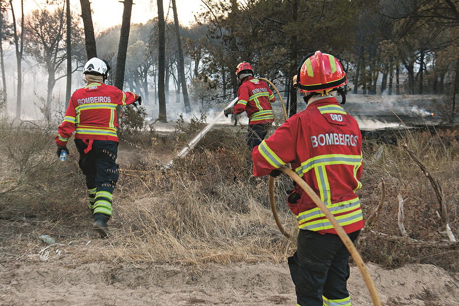 Incêndio no Ludo destruiu cerca de 100 hectares de mata e foi um dos maiores do ano a nível de área ardida 