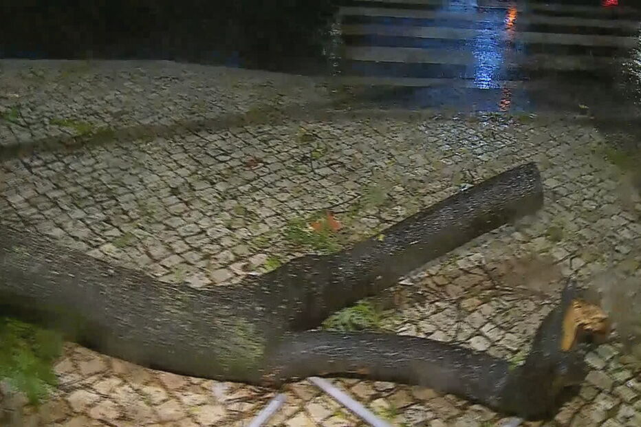 2017-12-11_02_13.39 01295F26.jpg