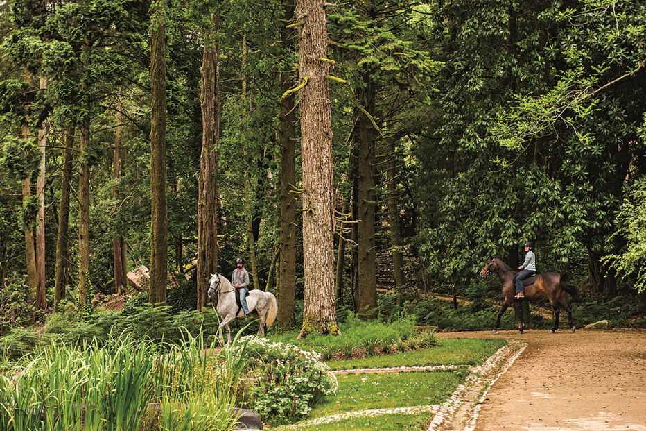 2017-12-12_17_15.28 A cavalo no Parque da Pena.jpg