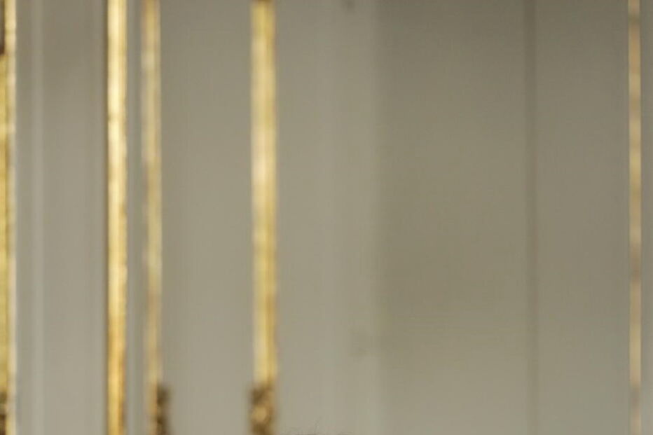 Rosa Zorrinho, na posse como secretária de Estado da Saúde