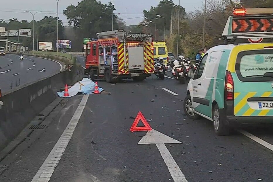 Acidente com cavalo no IC19