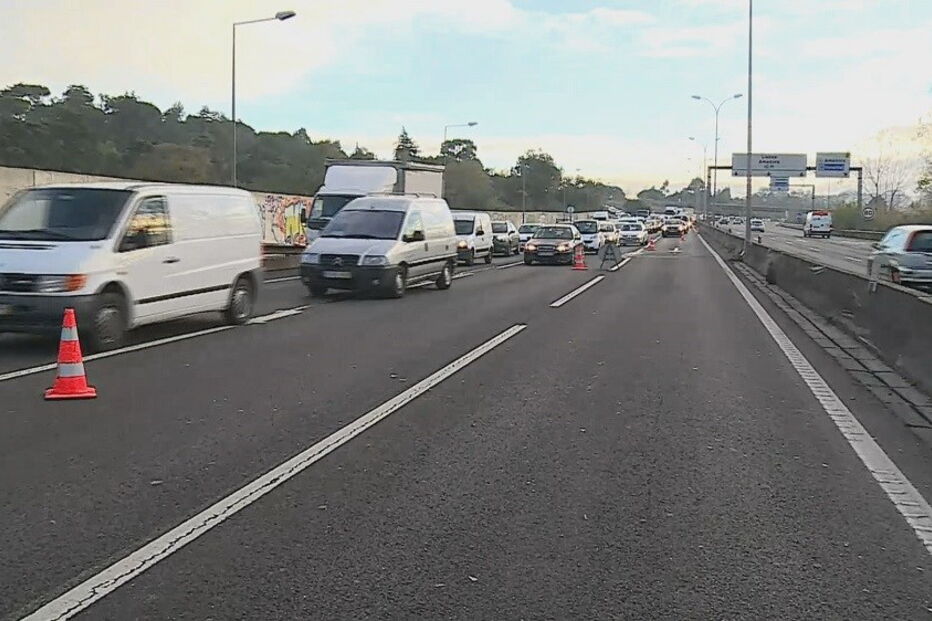 Acidente com cavalo no IC19