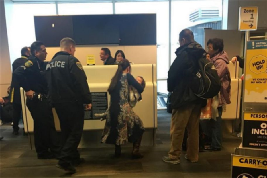 mulher, tripulação, avião, amamentar