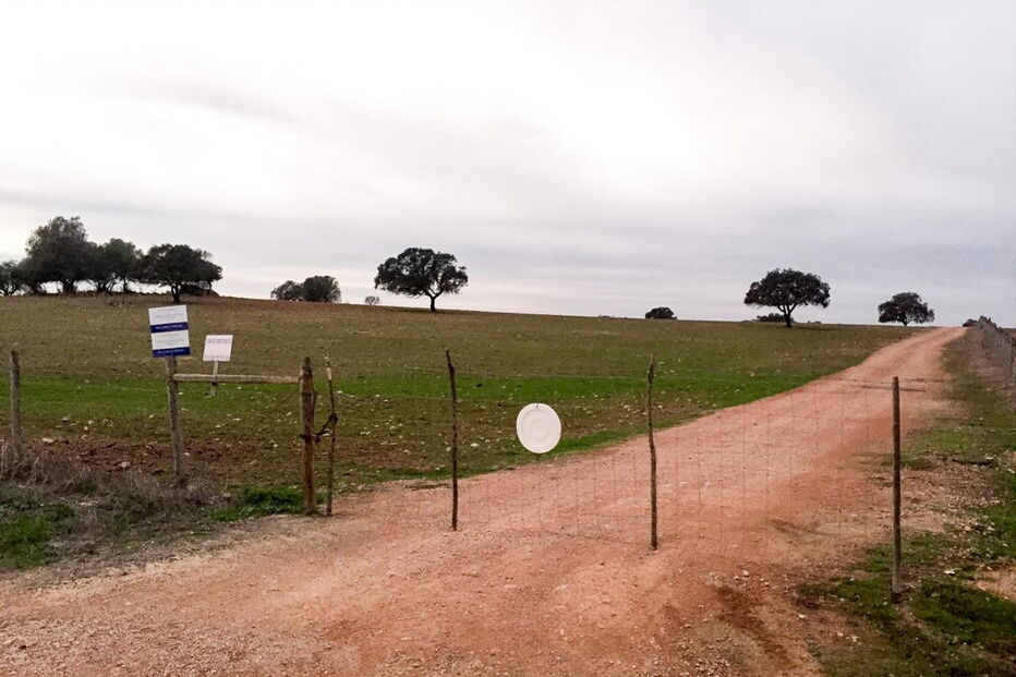 Acidente mortal deu-se no interior da propriedade agrícola da Atalaia, na freguesia de Alcáçovas, Viana do Alentejo 
