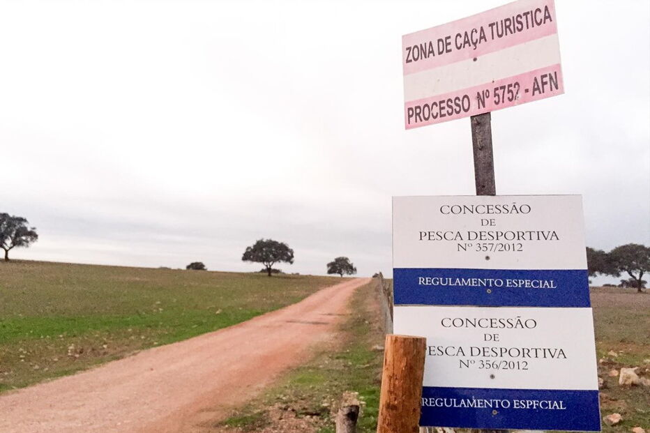 Acidente mortal deu-se no interior da propriedade agrícola da Atalaia, na freguesia de Alcáçovas, Viana do Alentejo 