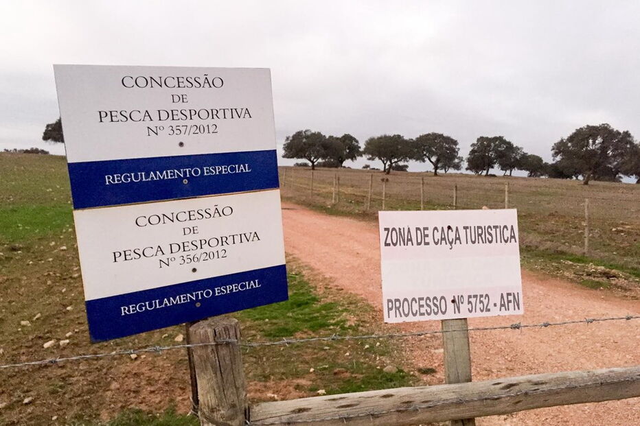 Acidente mortal deu-se no interior da propriedade agrícola da Atalaia, na freguesia de Alcáçovas, Viana do Alentejo 